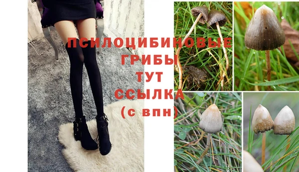 mdpv Абдулино