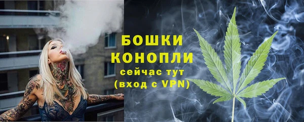 Альфа ПВП Нея